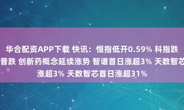 华合配资APP下载 快讯：恒指低开0.59% 科指跌0.44% 科网股普跌 创新药概念延续涨势 智谱首日涨超3% 天数智芯首日涨超31%